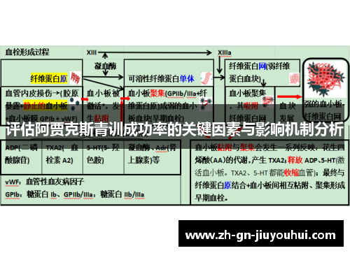 评估阿贾克斯青训成功率的关键因素与影响机制分析